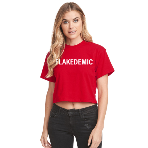 FLAKEDEMIC Relaxed Fit Cropped Tee