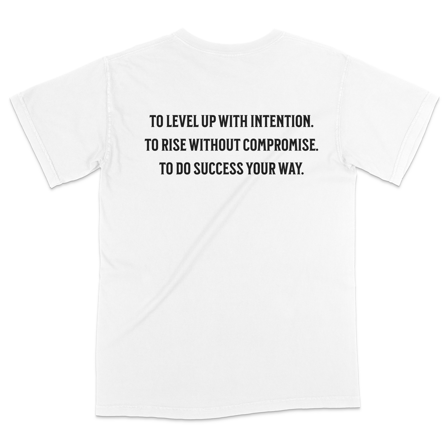 Rich Rite Level Up Front and Back Heavyweight Unisex T-Shirt