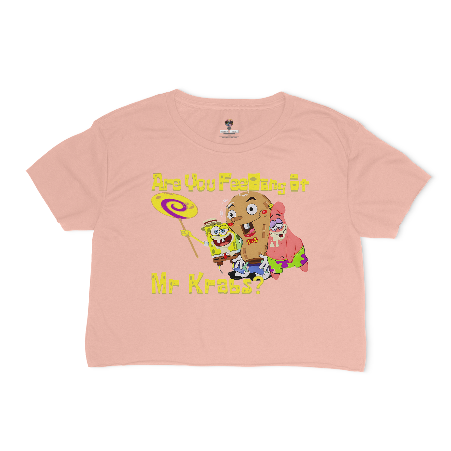 Are You Feeling It Mr. Krabs Relaxed Fit Cropped T-Shirt